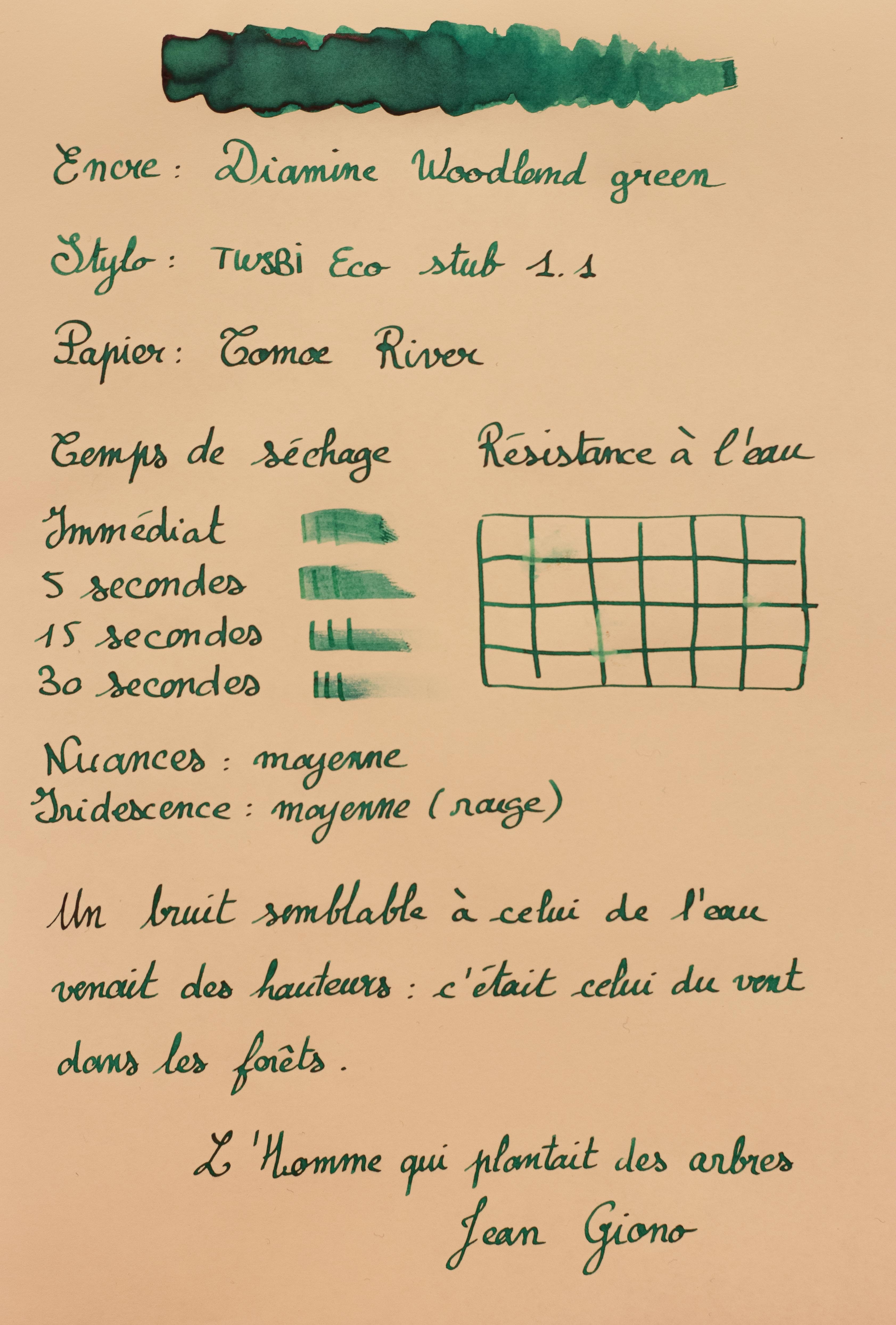Feuille de test Woodland Green de Diamine sur du papier Tomoe River