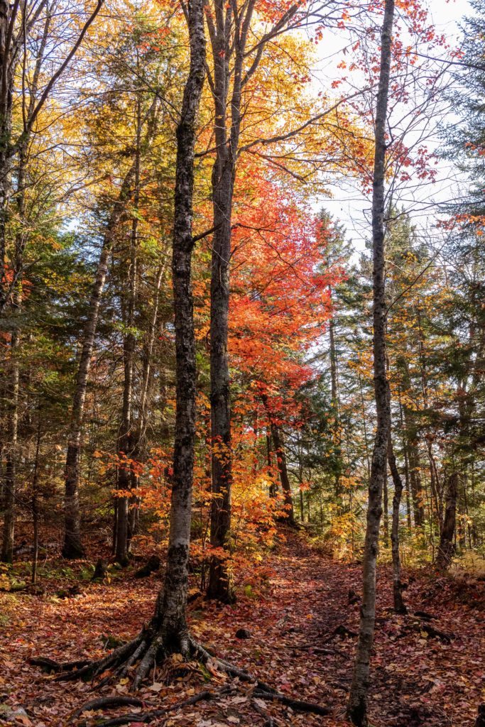 Randonnée Mont-Tremblant (Québec)