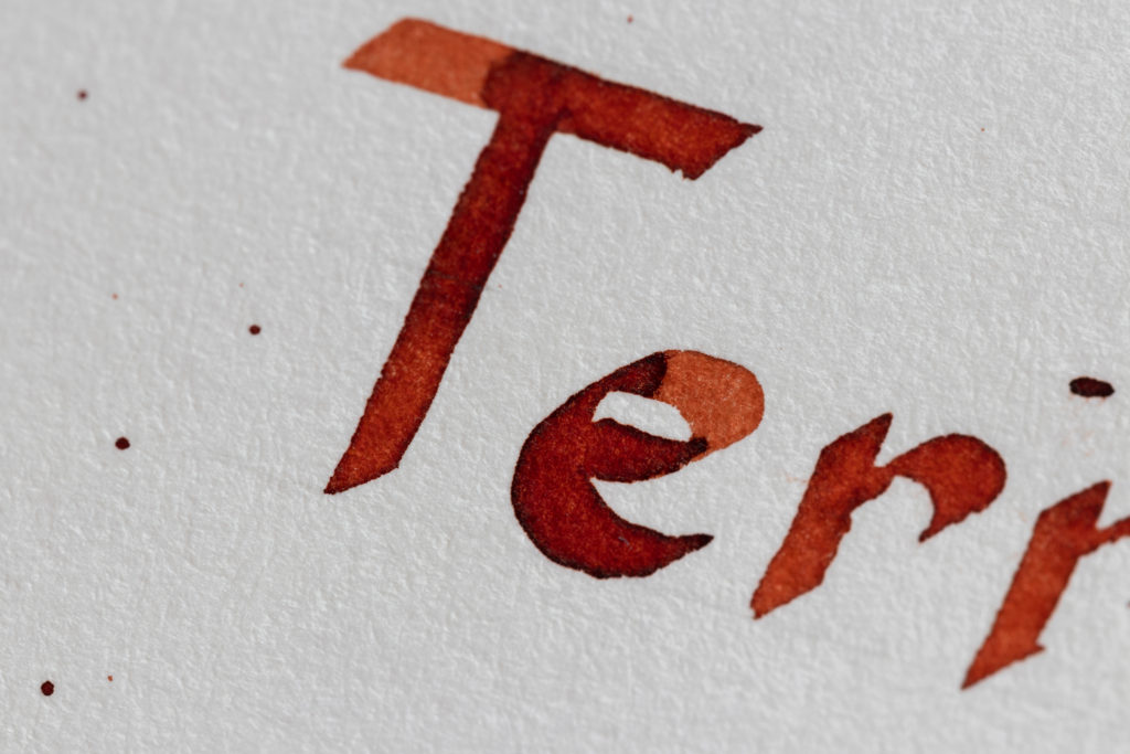 Gros plan Terracotta Diamine